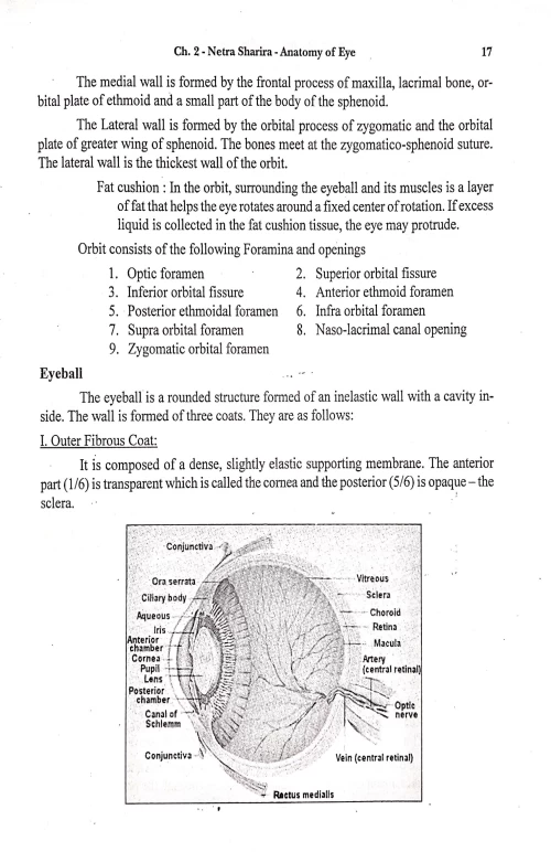 Netraroga Vijnana (English)
